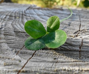 kleeblatt-fur-neujahr