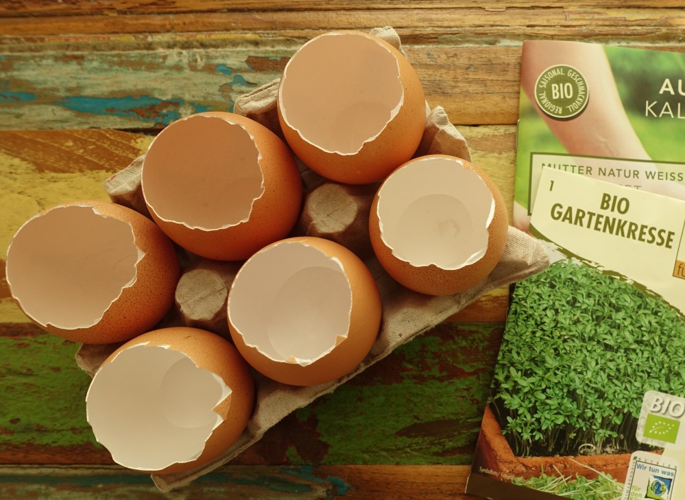 12 von 12 im April 2017