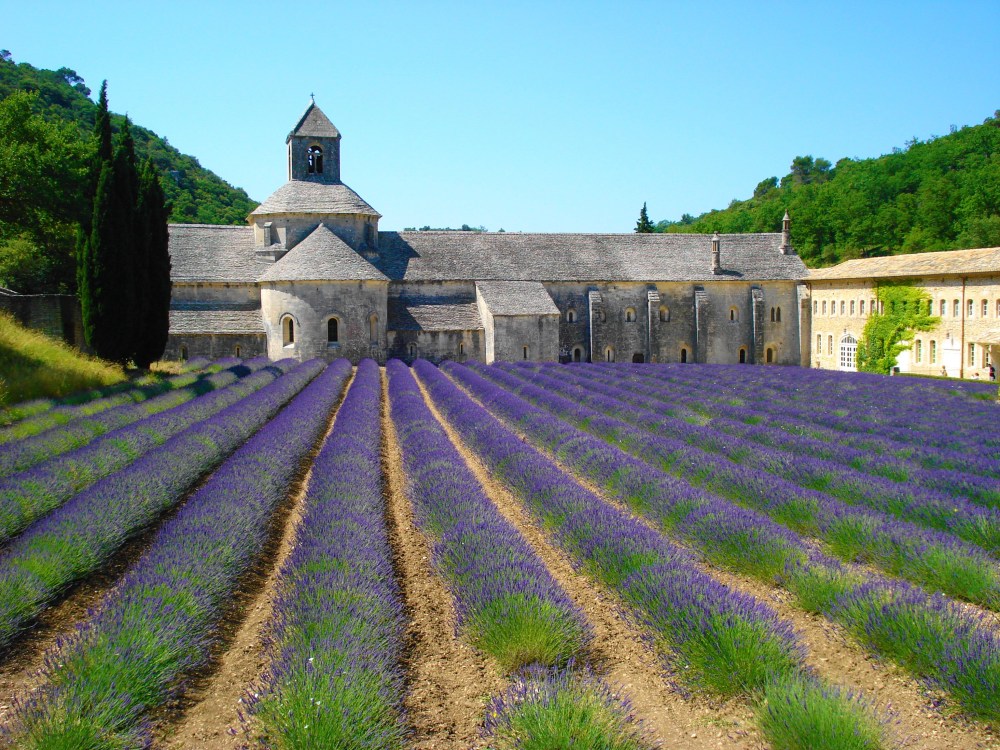 Provence 1