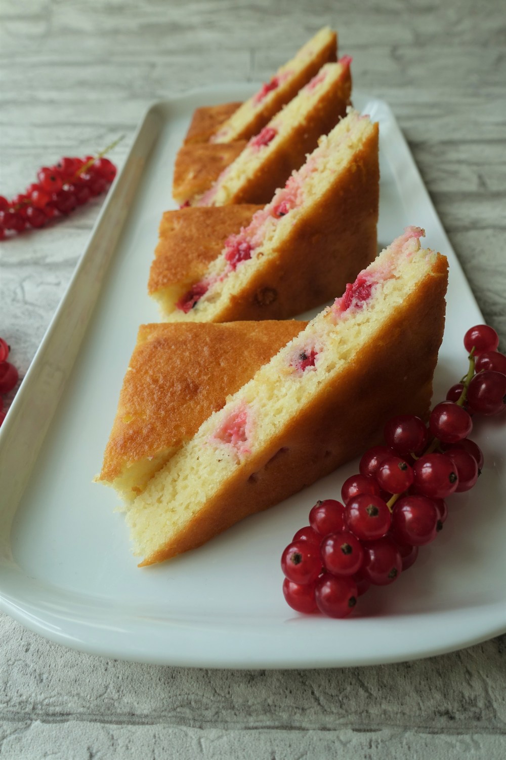 einfacher Blechkuchen mit Kokos und Ribiseln/Roten Johannisbeeren; schnell, einfach & unkompliziert!