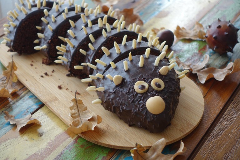  Kreativ backen für Kinder: Kuchen-Igel – linzersmileys Bildidee 