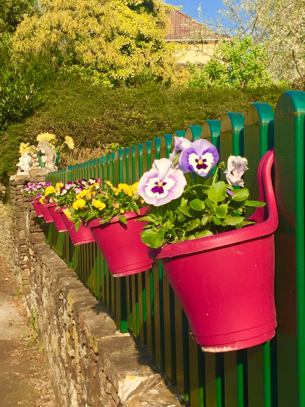 Hängende Blumentöpfe im Keferfeld