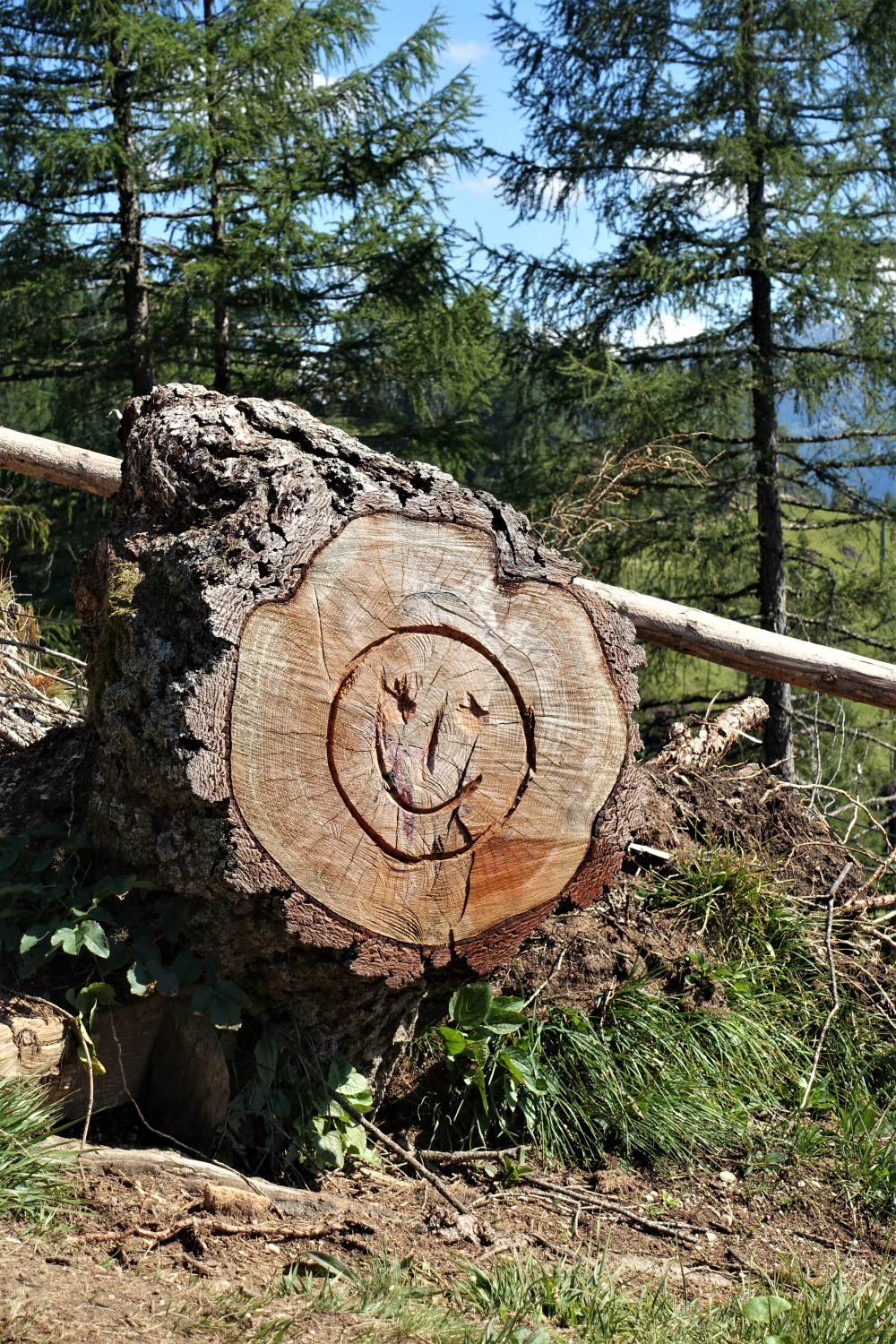 Bergsmiley, Berg-Smiley, Holz, Wald, Dolomiten, Weltnaturerbe, Südtirol, Rosengarten - Catinaccio