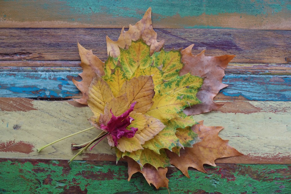 herbstlich, Blätter, Ahorn, Herbst-Inspiration in der Küche, linzersmileys, Food Styling mit Blättern