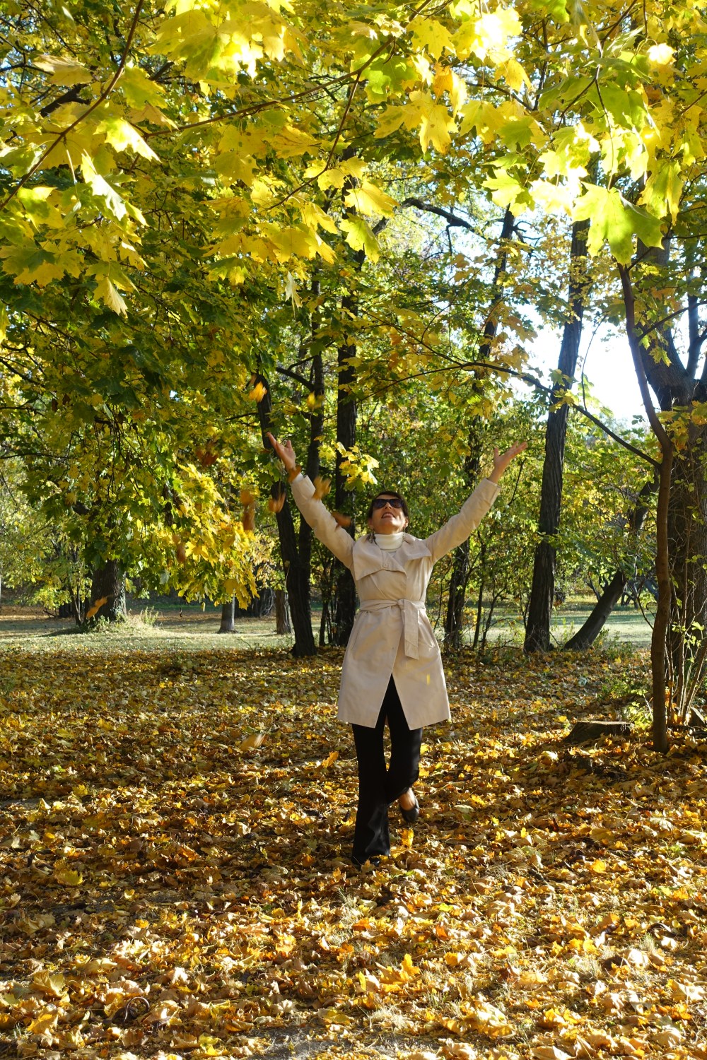 Laubregen, fallende Blätter, gefallene Blätter, Wiener Prater, der grüne Prater, Wien, Spaziergang im Herbst, Ahorn, Herbst-Inspiration, herbstlicher Wald, gülden