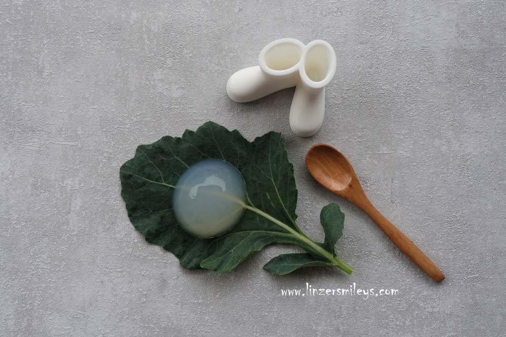 Raindrop Cake, Regentropfenkuchen, Foodtrend, Food-Trend, Japan, USA, beinahe kalorienfrei, ein Dessert zum Löffeln, perfekt zum Abnehmen, Kohlrabiblatt, Holzlöffel, Gummistiefel im Kleinformat, vegan, Wet Booties, Löffelhalter