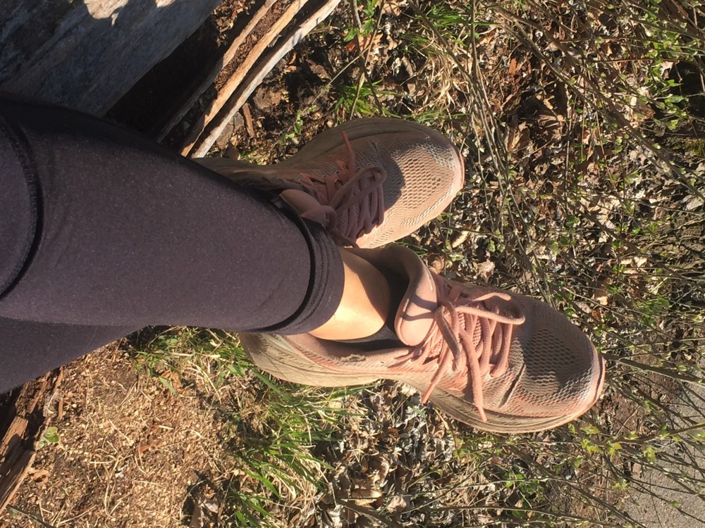 Lieblingsplätzchen2