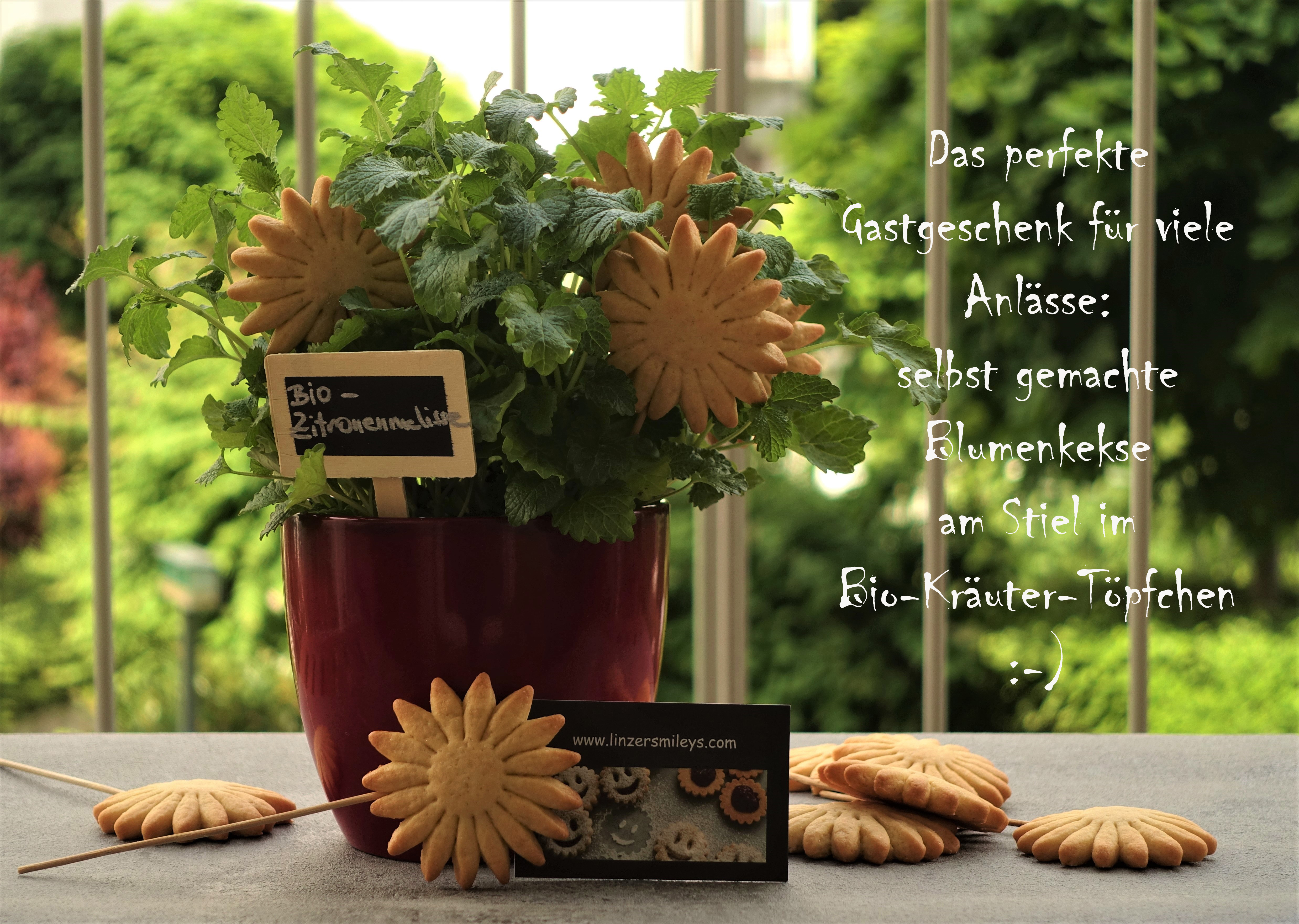 Kekslollis, Kekse am Stiel, Bio-Kräuter, Kräutertöpfchen, Zitronenmelisse, Küchenkräuter, Deko, DIY, Geschenkidee, Gastgeschenk, Mitbringsel, kleines Dankeschön, für viele Anlässe, kreativ und einfach, Eyecatcher zum Verschenken, Hingucker, Blickfang, #linzersmileys Rezeptidee, Dekoidee von Daniela Terenzi