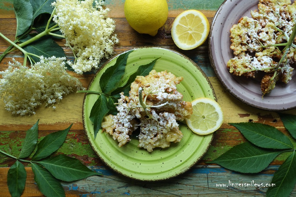 Holunderblüten, Holunderblütendolden, Holler, für gebackene Hollerstrauben, Frühling, österreichisch kochen wie zu Omas Zeiten, gebackene Mehlspeisen, frittiert, süß und köstlich, mit Zitrone und Buttermilch