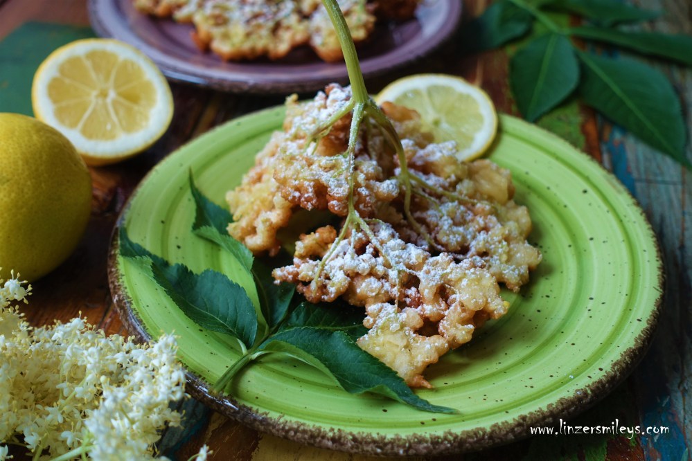 Holunderblüten, Holunderblütendolden, Holler, für gebackene Hollerstrauben, Frühling, österreichisch kochen wie zu Omas Zeiten, gebackene Mehlspeisen, frittiert, süß und köstlich, mit Zitrone und Buttermilch