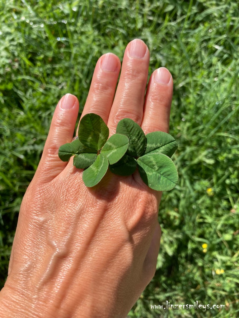 Doppelt Glück mit doppeltem Glücksklee, gefunden am Johannesweg