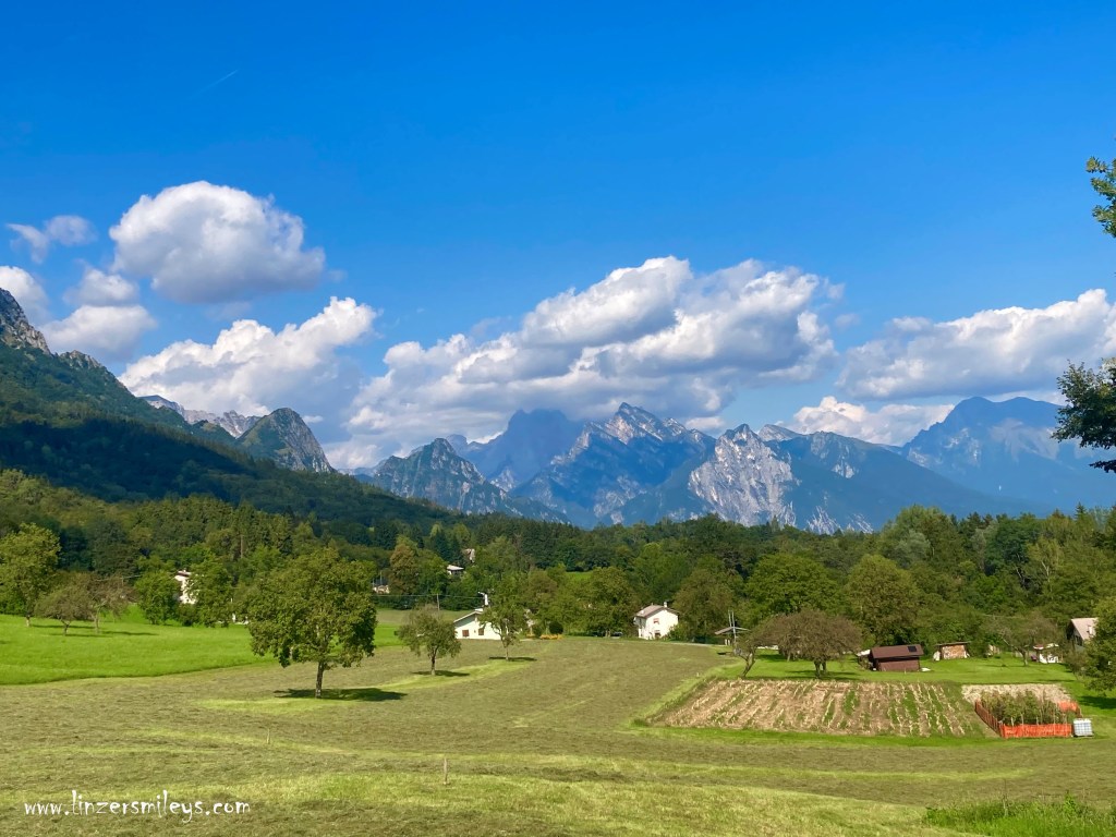 #nicetoeateu #enjoyitsfromeurope #cheese #käse #formaggiopiavedop #dolomites Piave DOP, Käse mit Bergblick, Hartkäse, Käse aus Italien, Belluno, Venetien, Lattebusche, Dolomites Experience, Foodblogger, #linzersmileys