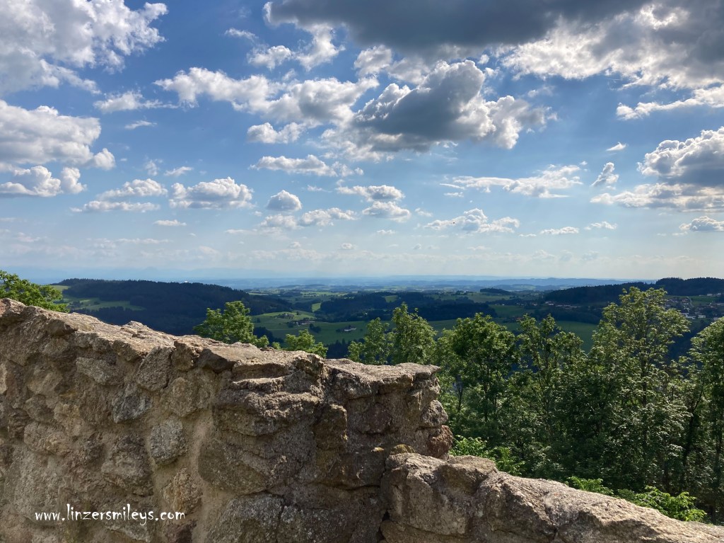 Holunder, Holler, Waxenberg, Ruine, Weitblick, Mühlviertel, Ausflugsziele in Oberösterreich, back to the roots, Heimat, Heimatgefühl #linzersmileys