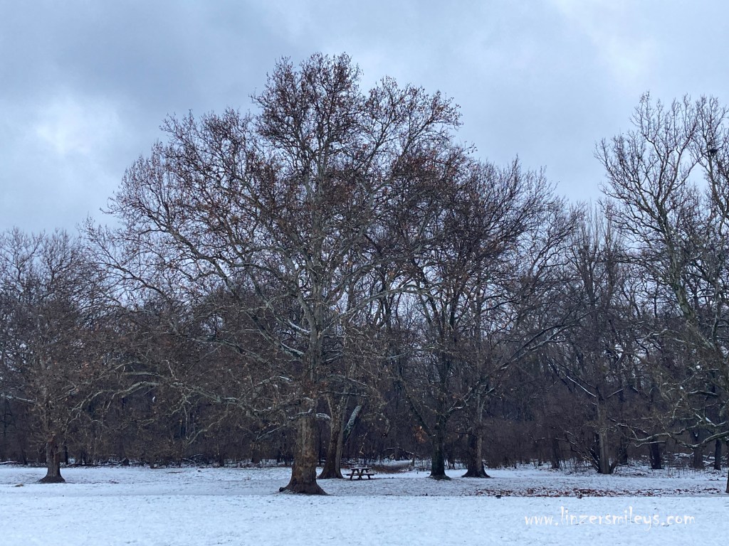 Schnee im Wiener Prater, winterliches Wien, Jänner 2023, Frau Holle ließ es schneien in Wien, Vienna, Viena #linzersmileys