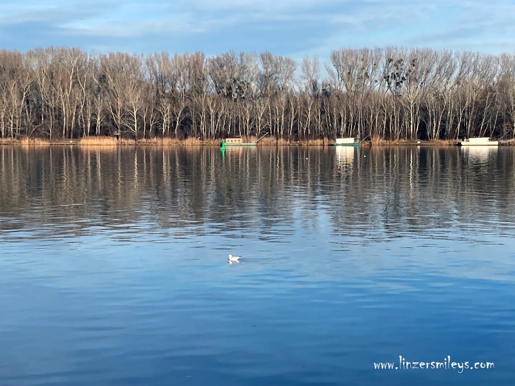 Wiener Wasser #linzersmileys