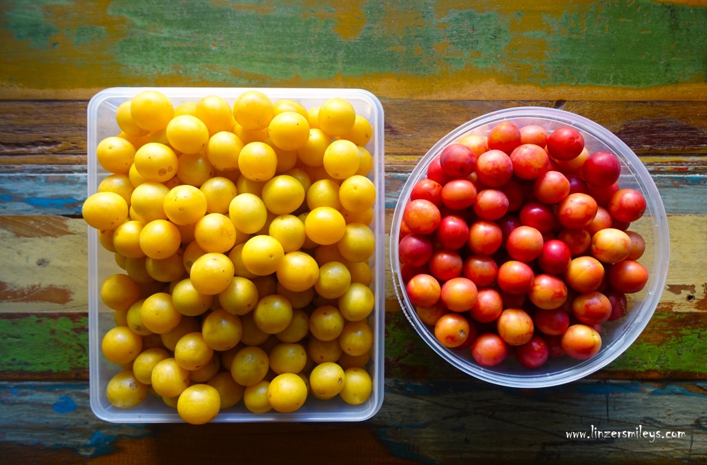 Kriecherl, Kriechenpflaumen aus dem Wiener Prater, Wildobst, wilde Pflaumen, Zwetschken, wilder Obstbaum, Marmelade, Konfitüre, zum Einkochen bestens geeignet, Obst aus dem Wald, regional, saisonal, Foodblog von Daniela Terenzi #linzersmileys