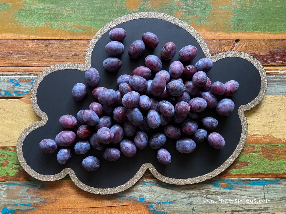Zwetschken, Zwetschgen, Pflaumen, im Kleinformat, prugnette, aus dem Garten von Marellas Eltern