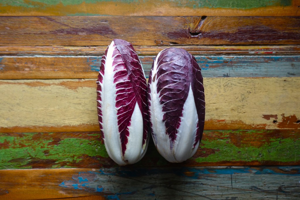 Radicchio rosso di Treviso IGP precoce, Radicchio aus Treviso, Frühanbau, Winter, Herbst, Spezialität aus Venetien, Veneto, feinbitter, herb, Wintergemüse