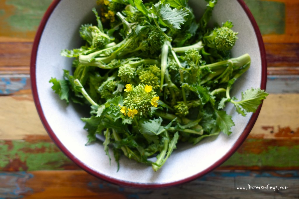 Stängelkohl, Cime di rapa, aus Apulien, pugliese, Wintergemüse, Kohlgemüse, leicht bitter, perfekt zu Orecchiette, italienisch kochen, Puglia, Bari, Daniela Terenzi #linzersmileys