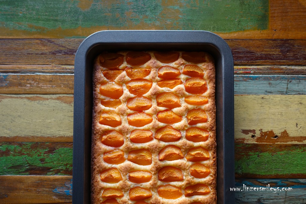 Obstkuchen vom Blech, einfach, easy-peasy, Marillenkuchen, Aprikosenkuchen, mit Kokos, weicht nicht durch, Sommer, Sonne, backen, vegetarisch, Wachauer Marillen, dolce con albicocche e cocco, Sommerkuchen, fruchtig, zuckerreduziert, mit Birkenzucker, Rezept von Daniela Terenzi #linzersmileys