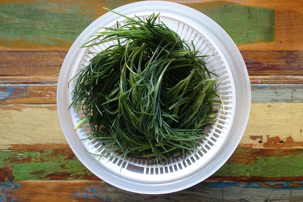 Mönchsbart, Salzwiesenkraut, agretti, barba di frate, vegetarisch, essbare Wildkräuter